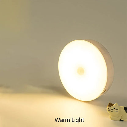 LED Smart Human Body Sensor Night Lamp