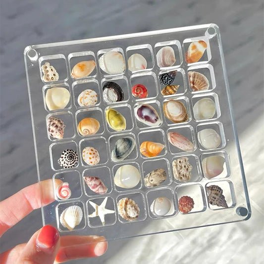 Acrylic Magnetic Seashell Display Box